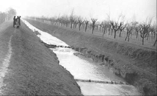 Torrente Ruicciano