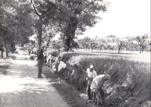 284 Anno-1953-Canale-dei-Molini-a-Maiano-