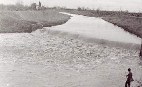 55 Timia-diga-Arcatura-di-Cannara-dopo-la-piena-del-11-2-1954